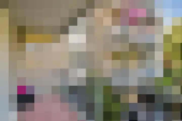 Suikerplein 23 Amsterdam thumbnail 15