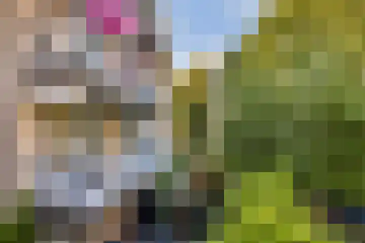 Suikerplein 23 Amsterdam thumbnail 16
