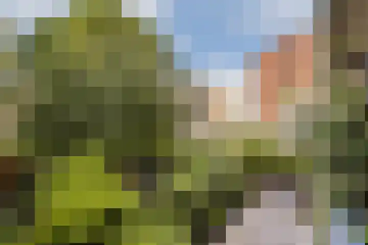 Suikerplein 23 Amsterdam thumbnail 17