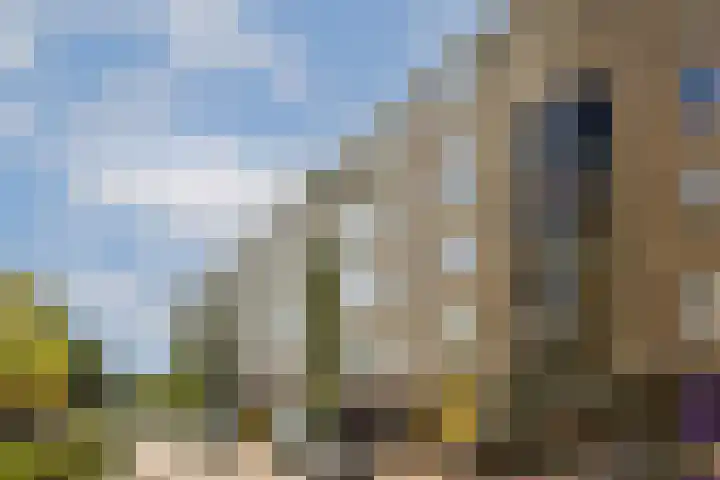 Suikerplein 23 Amsterdam thumbnail 18