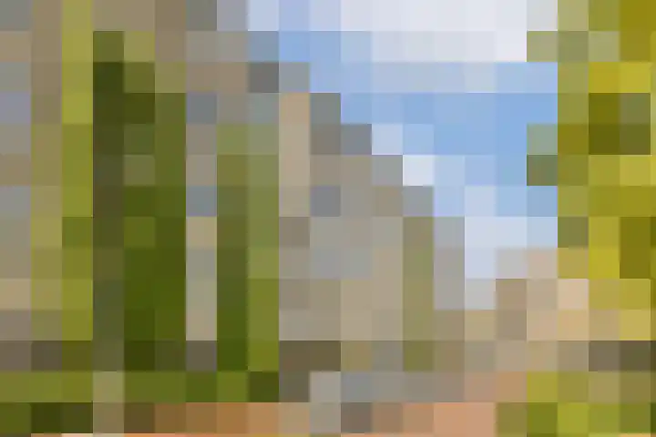 Suikerplein 23 Amsterdam thumbnail 19