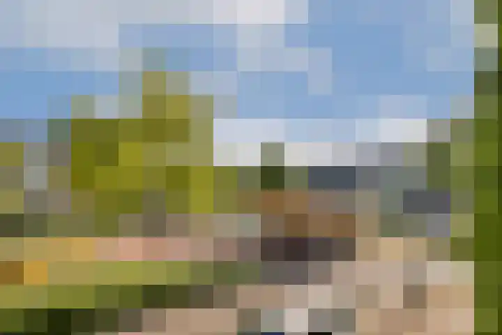 Suikerplein 23 Amsterdam thumbnail 20