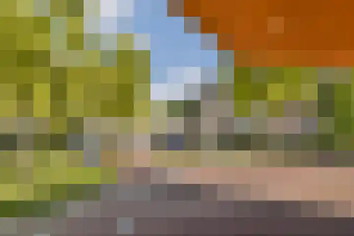 Suikerplein 23 Amsterdam thumbnail 22