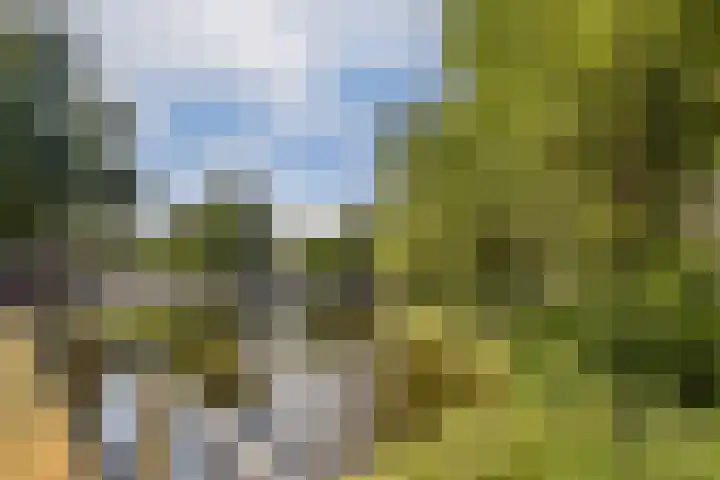 Suikerplein 23 Amsterdam thumbnail 23