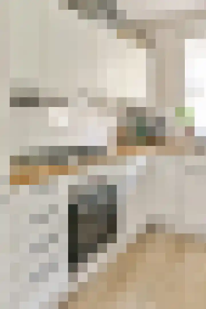 Suikerplein 23 Amsterdam thumbnail 7