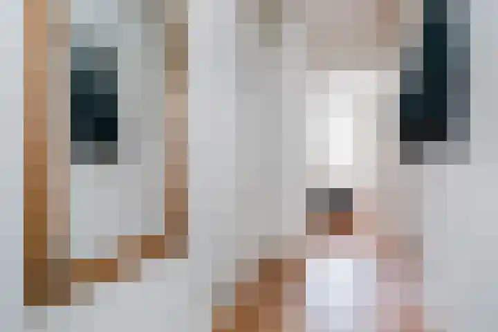 Suikerplein 6 Amsterdam thumbnail 18