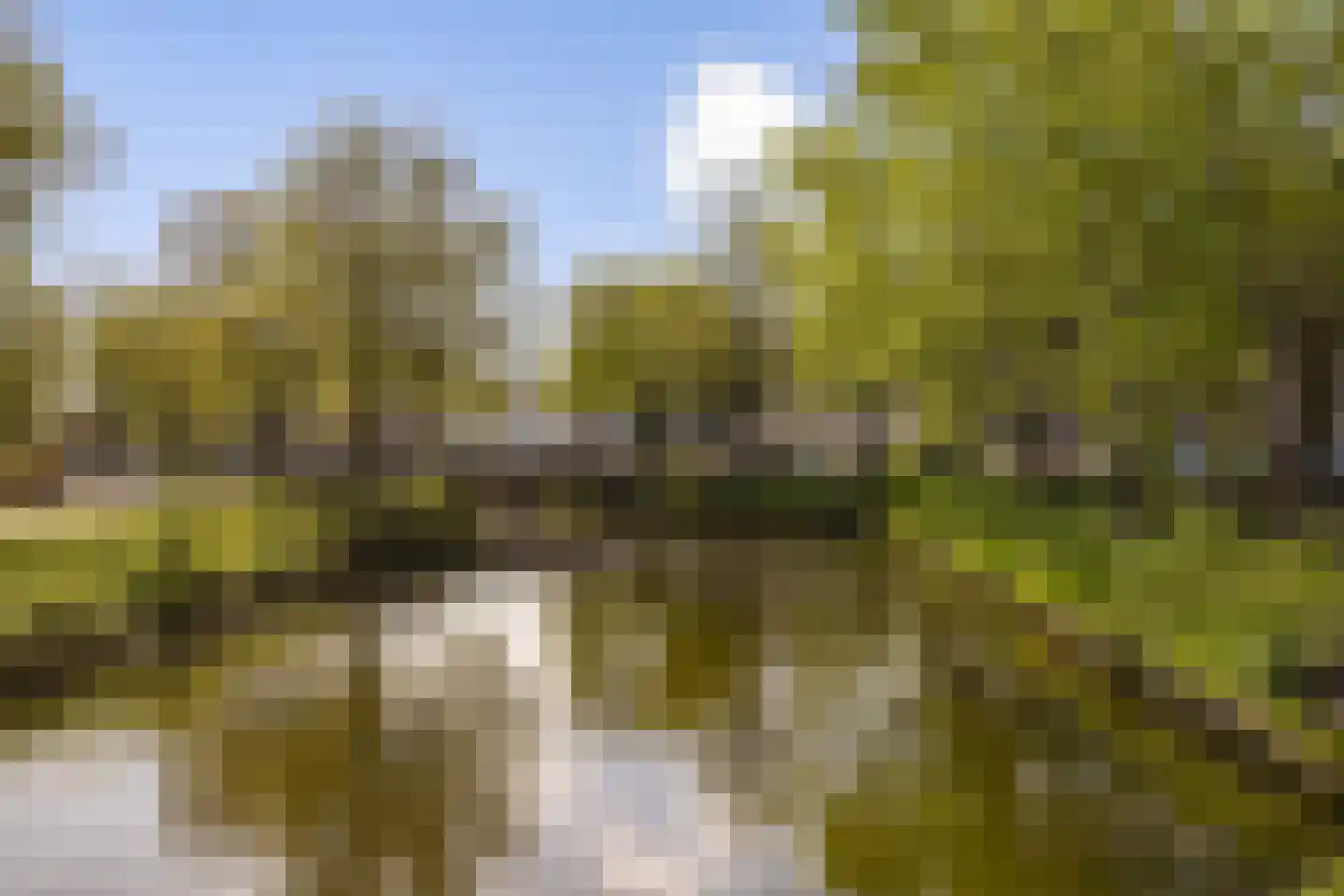 Suikerplein 65 Amsterdam thumbnail 26