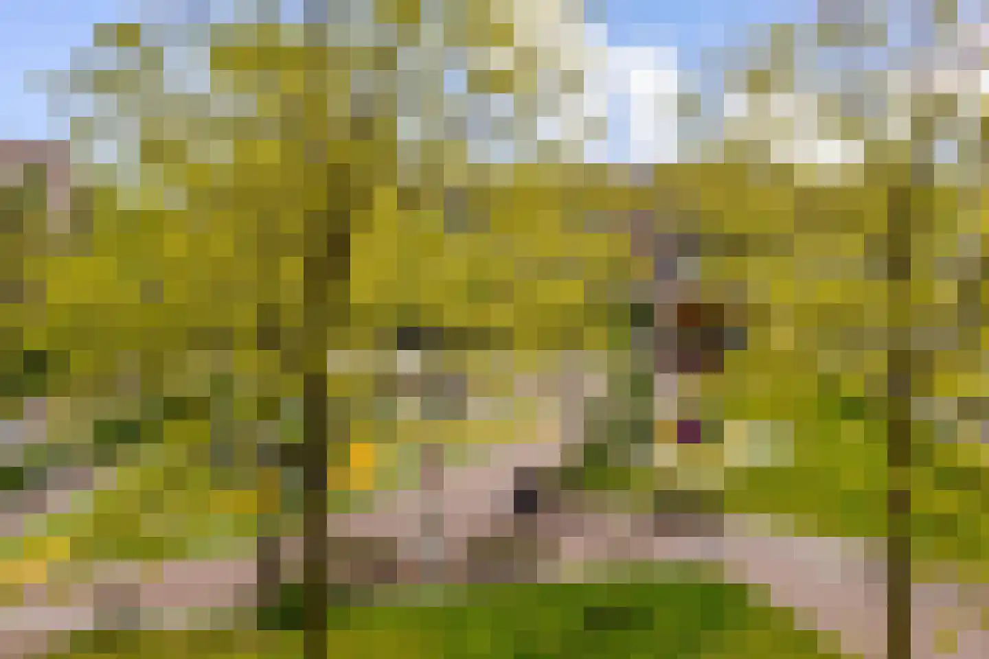 Suikerplein 65 Amsterdam thumbnail 6