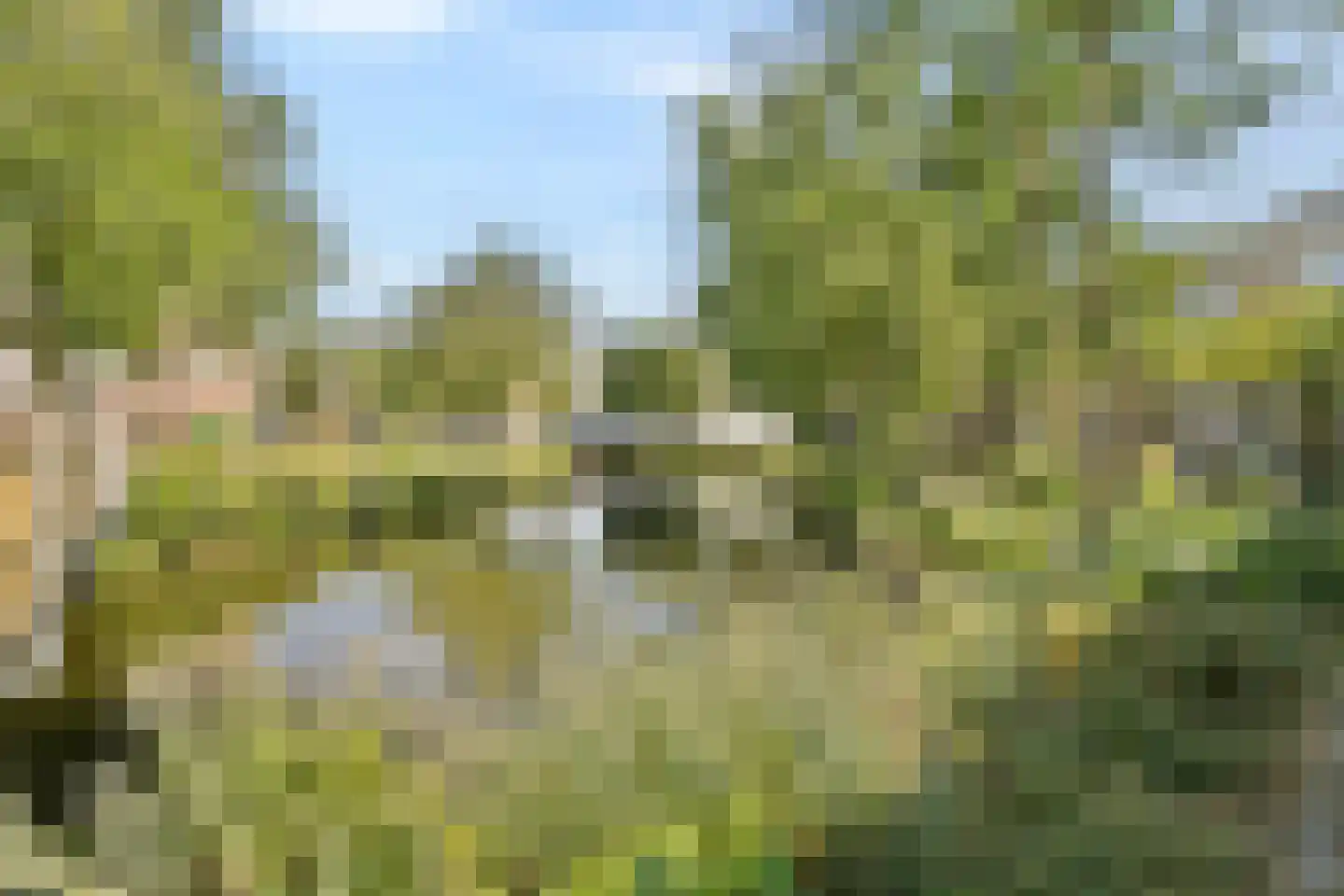 Suikerplein 75 Amsterdam thumbnail 21