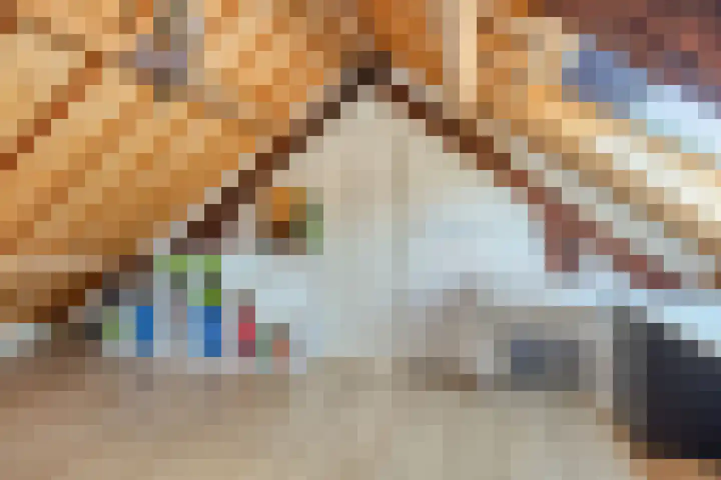 Suikerpoort 6 Middelburg thumbnail 34