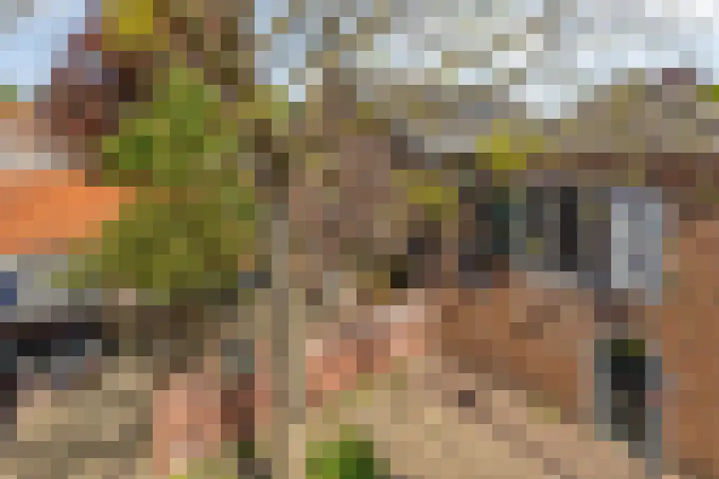 Suikerpoort 6 Middelburg thumbnail 38