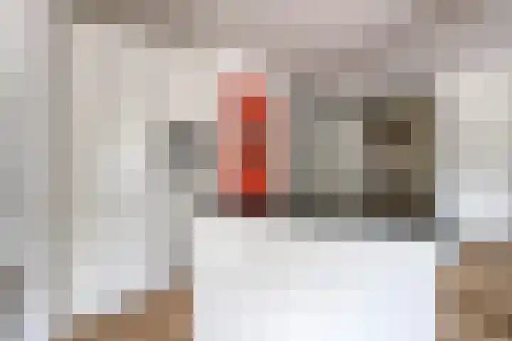 Suikervat 11 Veenendaal thumbnail 20