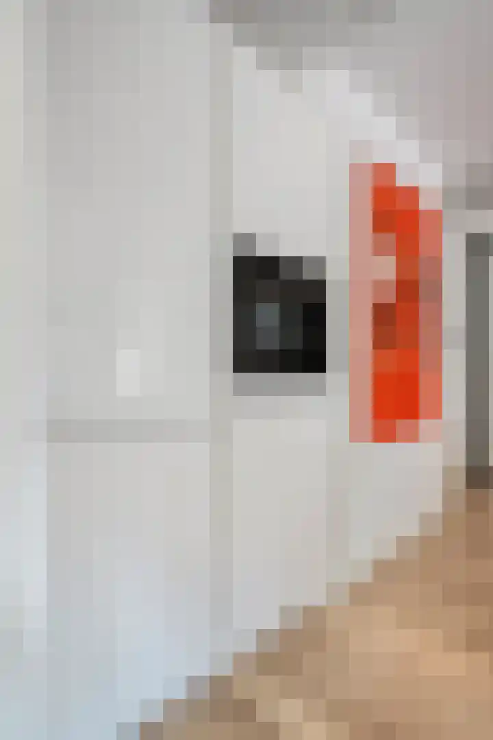 Suikervat 11 Veenendaal thumbnail 21
