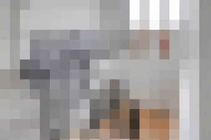 Suikervat 11 Veenendaal thumbnail 36