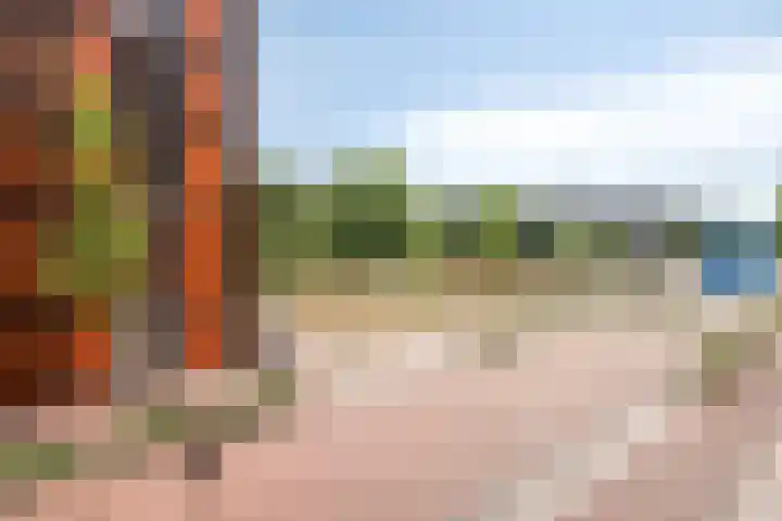 Suikervat 11 Veenendaal thumbnail 37