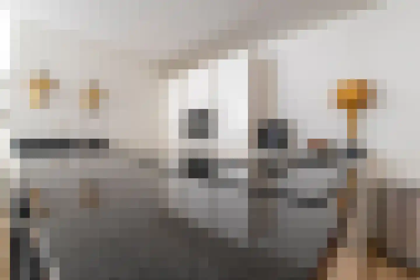 Suikervat 5 Veenendaal thumbnail 13