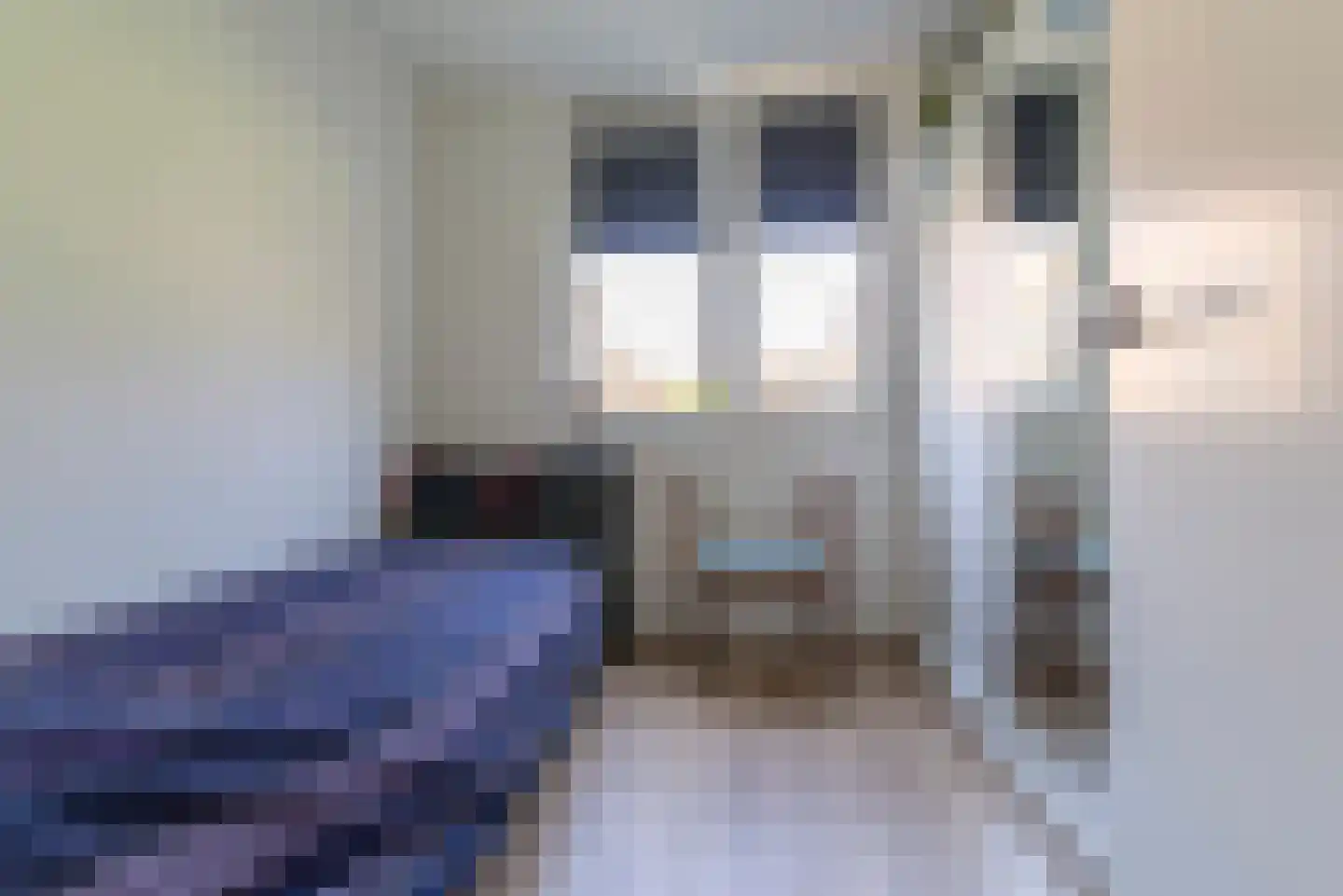 Suikervat 5 Veenendaal thumbnail 20