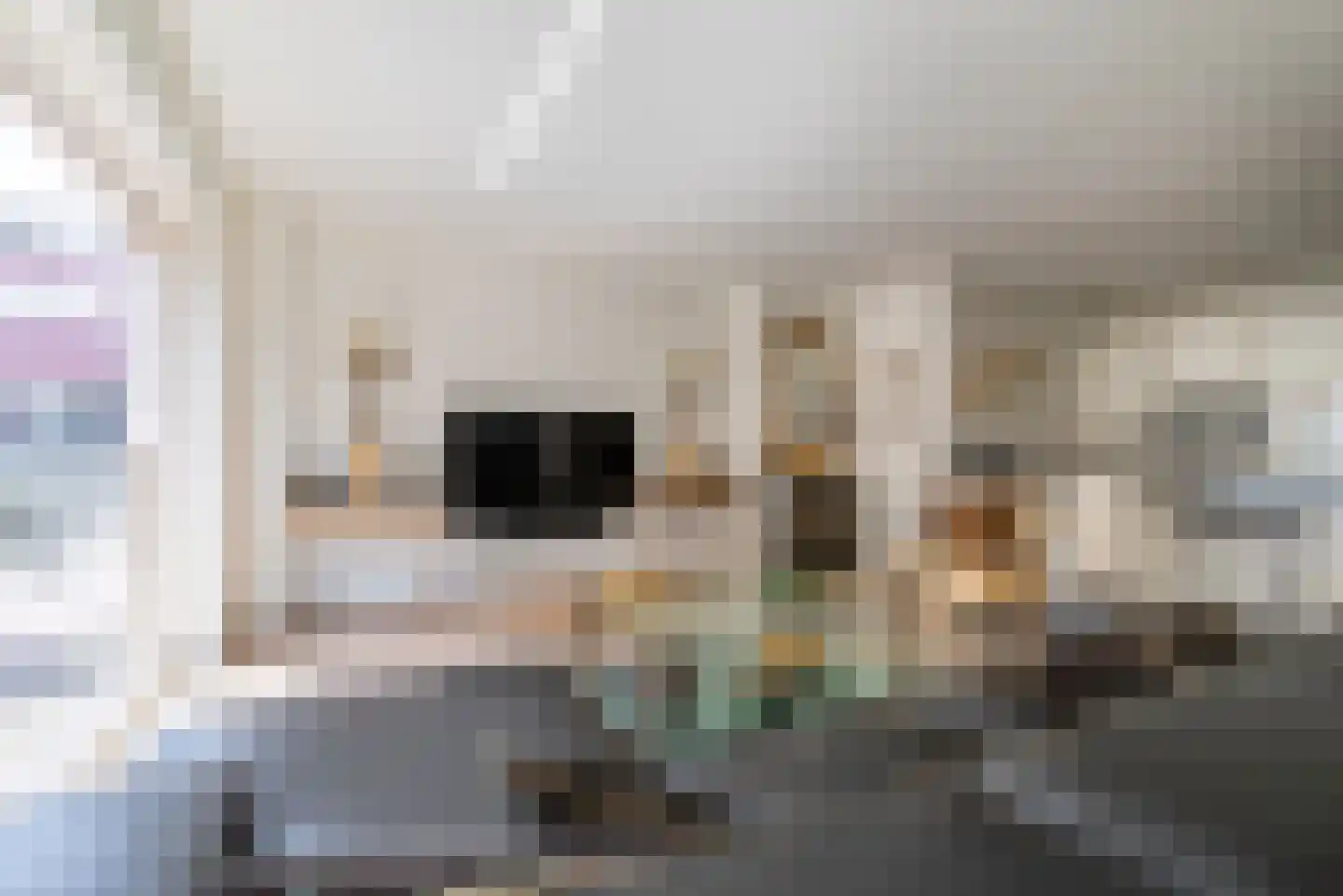 Suikervat 5 Veenendaal thumbnail 7