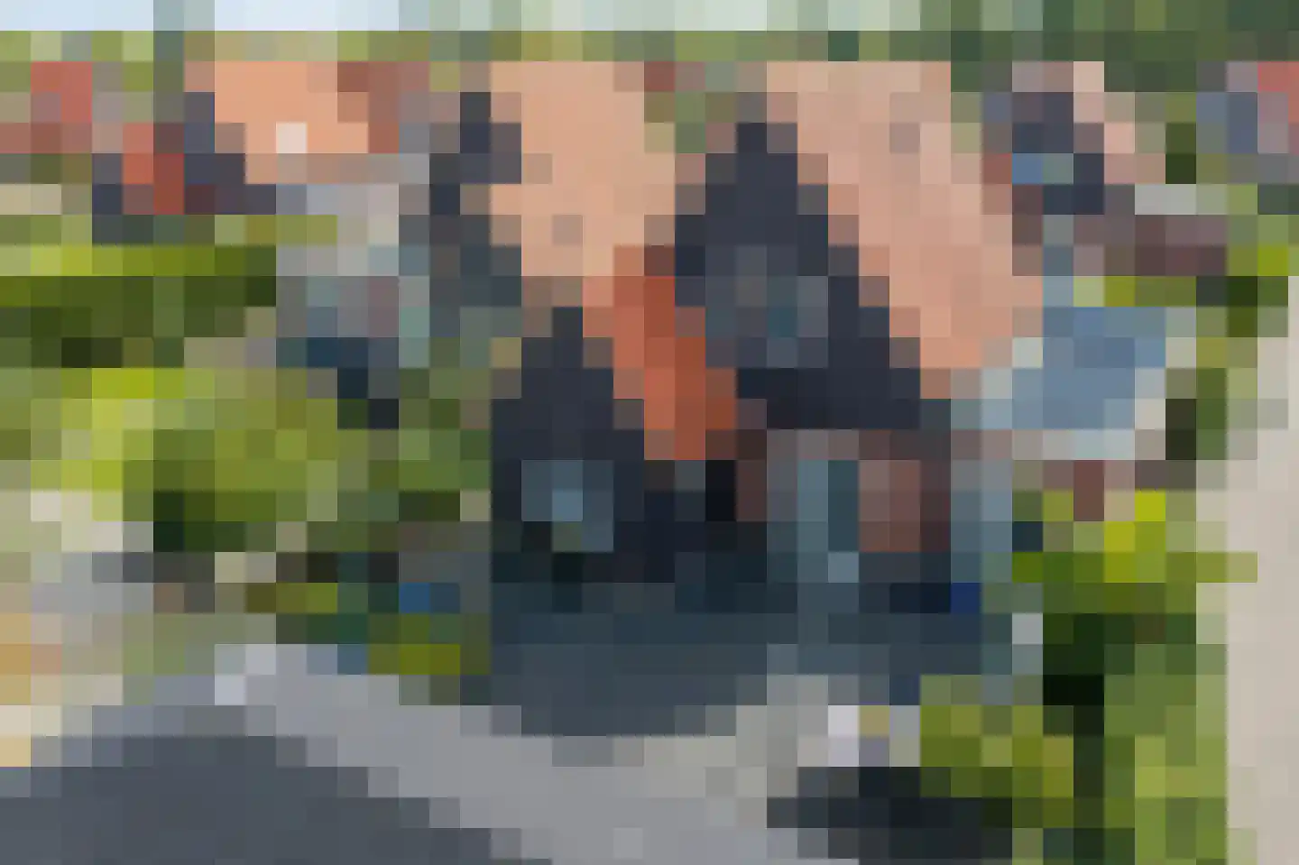Suisendijk 14 14 Oude-Tonge thumbnail 22