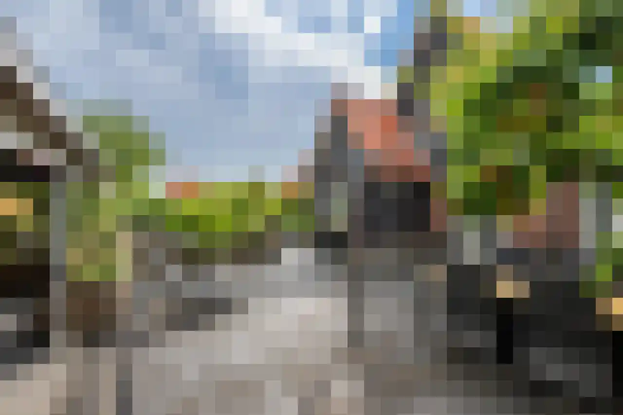 Suisendijk 14 14 Oude-Tonge thumbnail 23