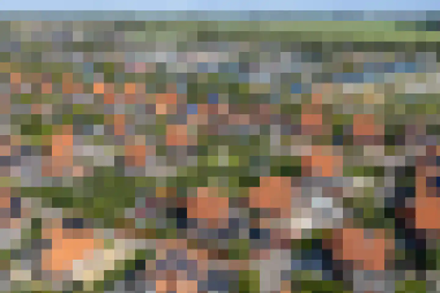 Suisendijk 14 14 Oude-Tonge thumbnail 32