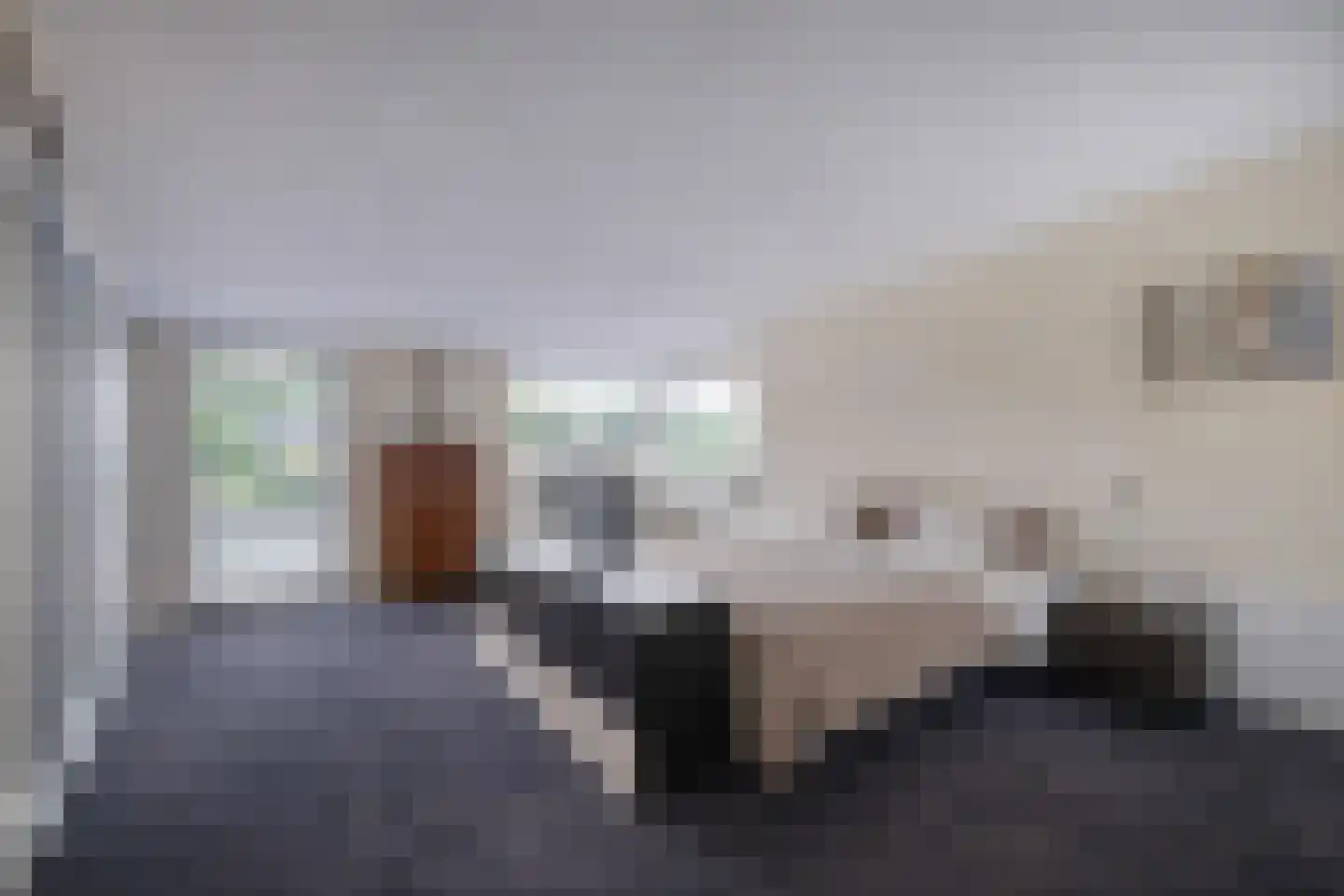 Suisendijk 14 15 Oude-Tonge thumbnail 8