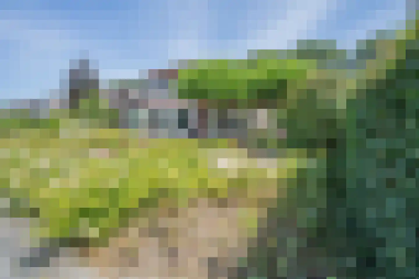 Suisendijk 14 19 Oude-Tonge thumbnail 22
