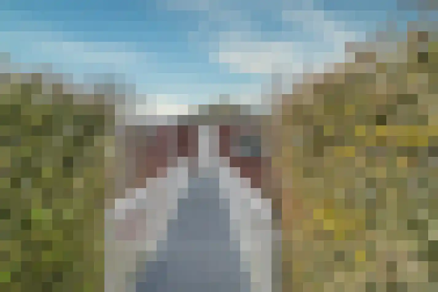 Suisendijk 14 19 Oude-Tonge thumbnail 23