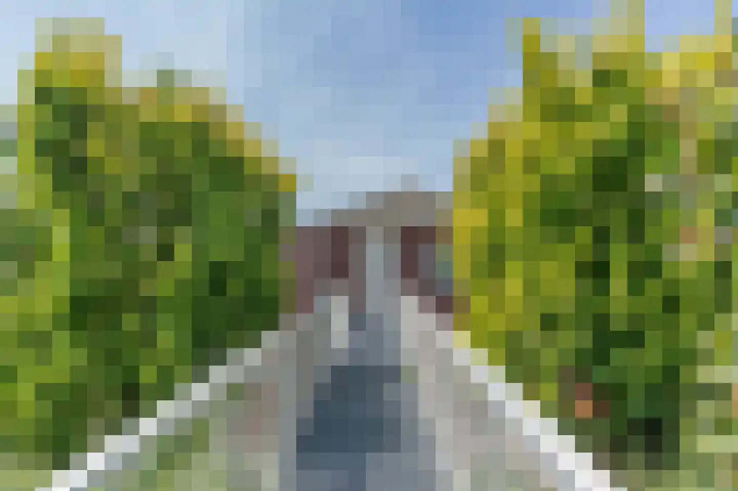 Suisendijk 14 19 Oude-Tonge thumbnail 26