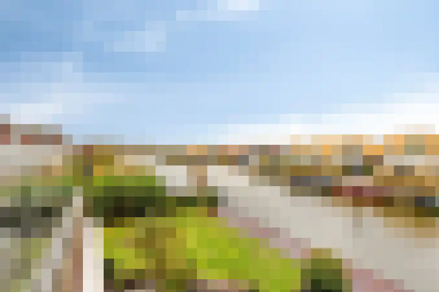 Suisendijk 14 20 Oude-Tonge thumbnail 18