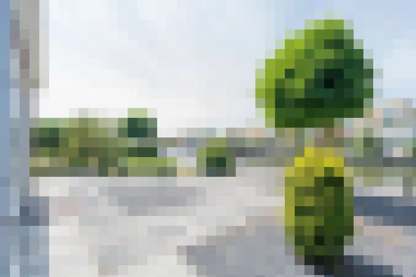 Suisendijk 14 20 Oude-Tonge thumbnail 19