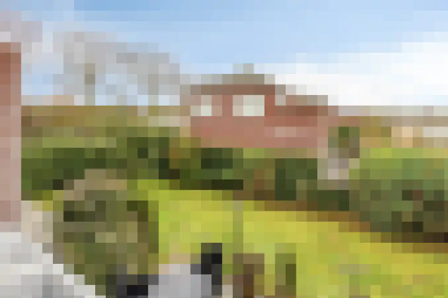Suisendijk 14 20 Oude-Tonge thumbnail 19