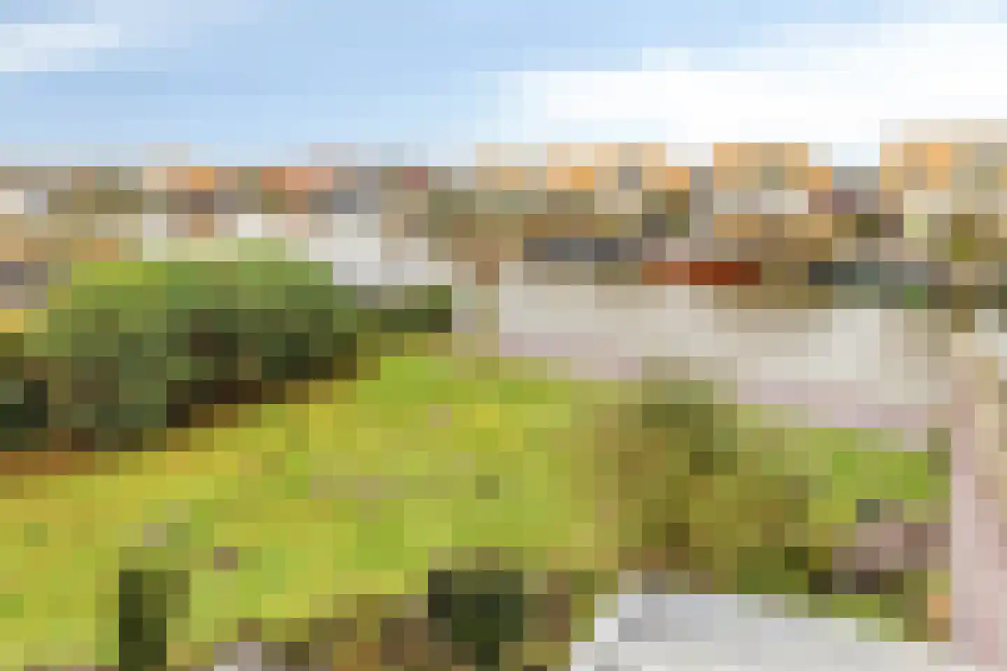 Suisendijk 14 20 Oude-Tonge thumbnail 20