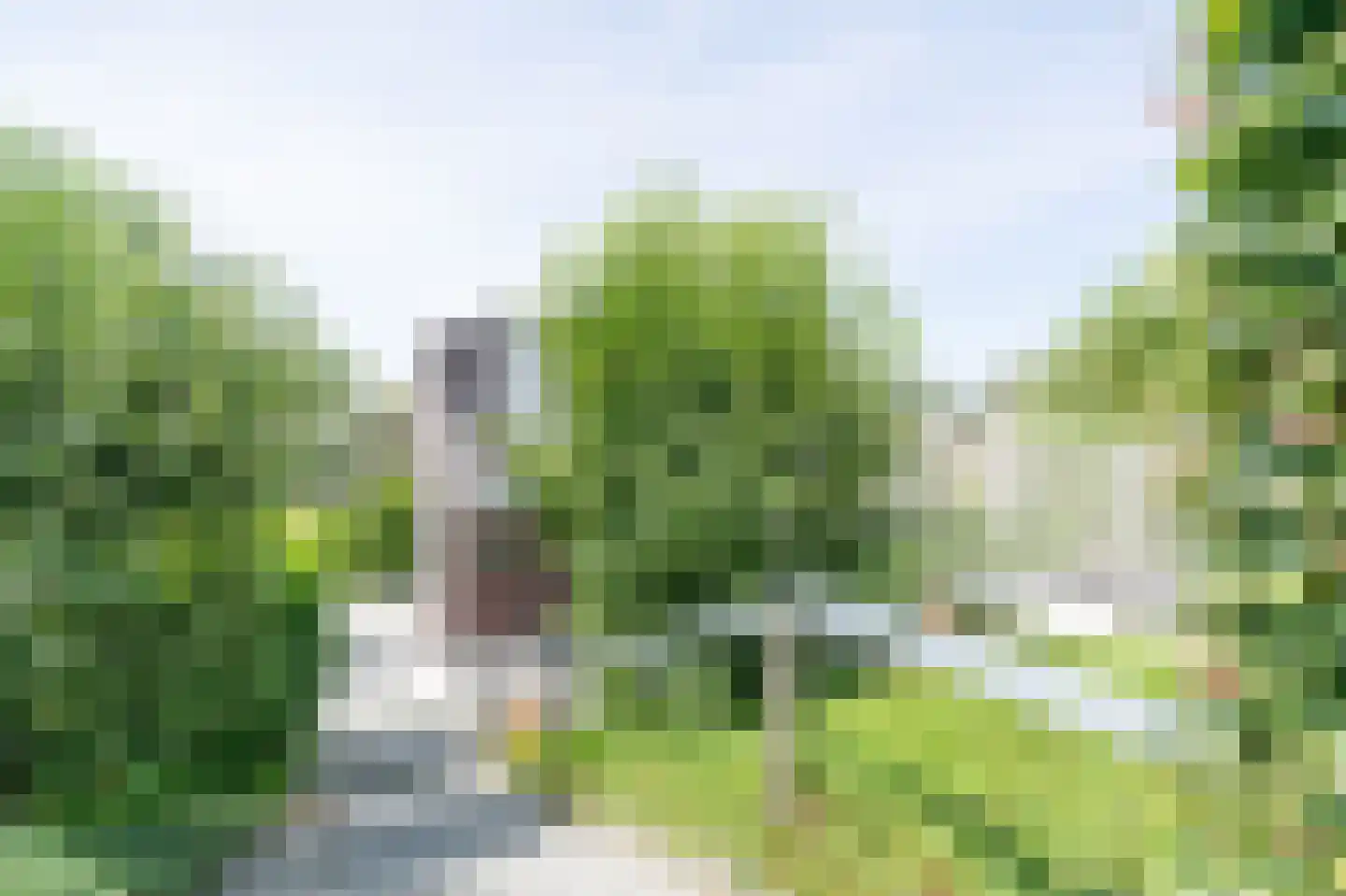 Suisendijk 14 20 Oude-Tonge thumbnail 23