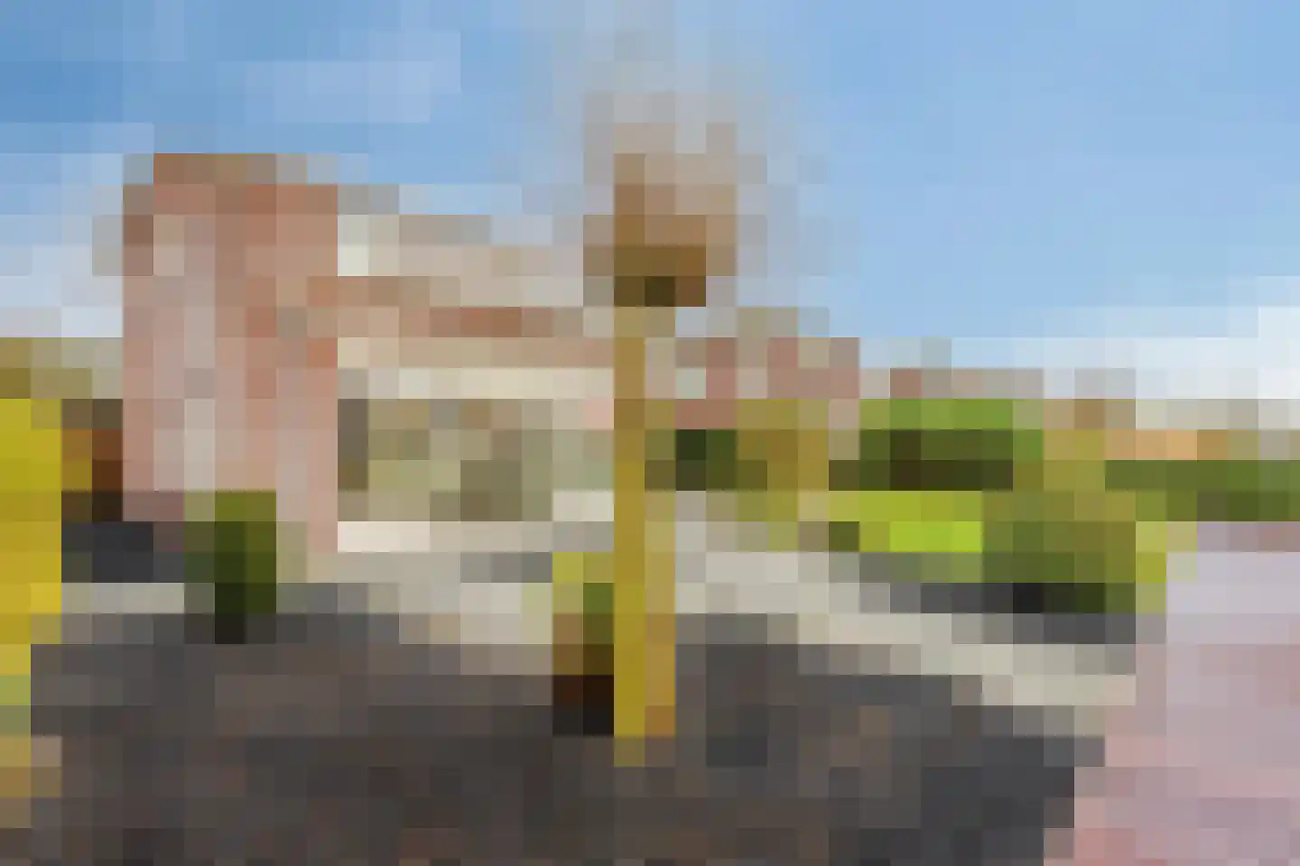 Suisendijk 14 20 Oude-Tonge thumbnail 23