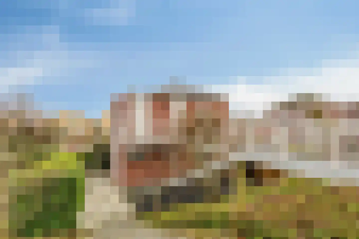 Suisendijk 14 20 Oude-Tonge thumbnail 25