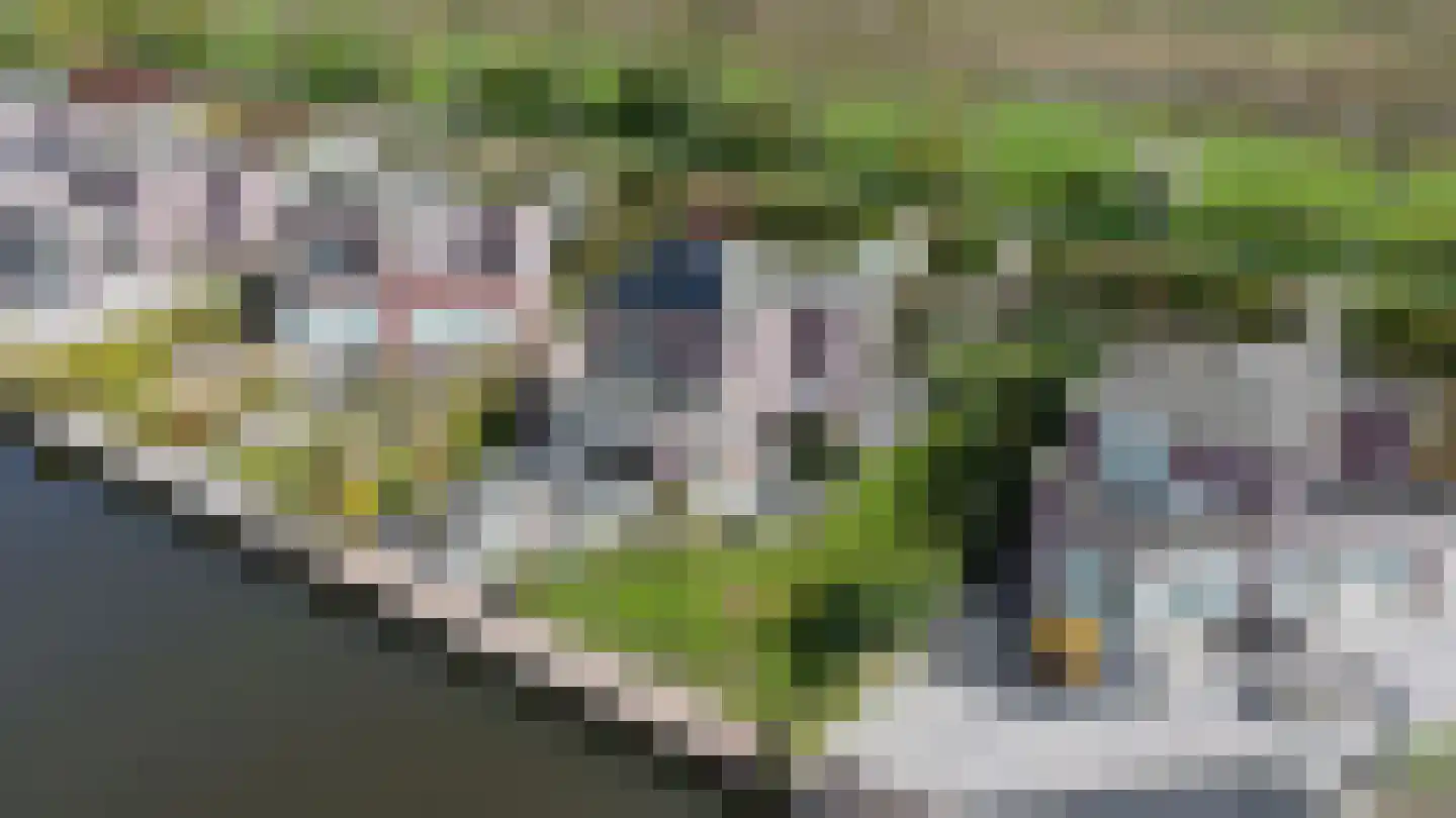 Suisendijk 14 20 Oude-Tonge thumbnail 28