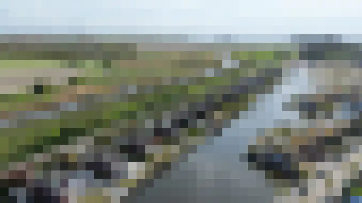 Suisendijk 14 20 Oude-Tonge thumbnail 29