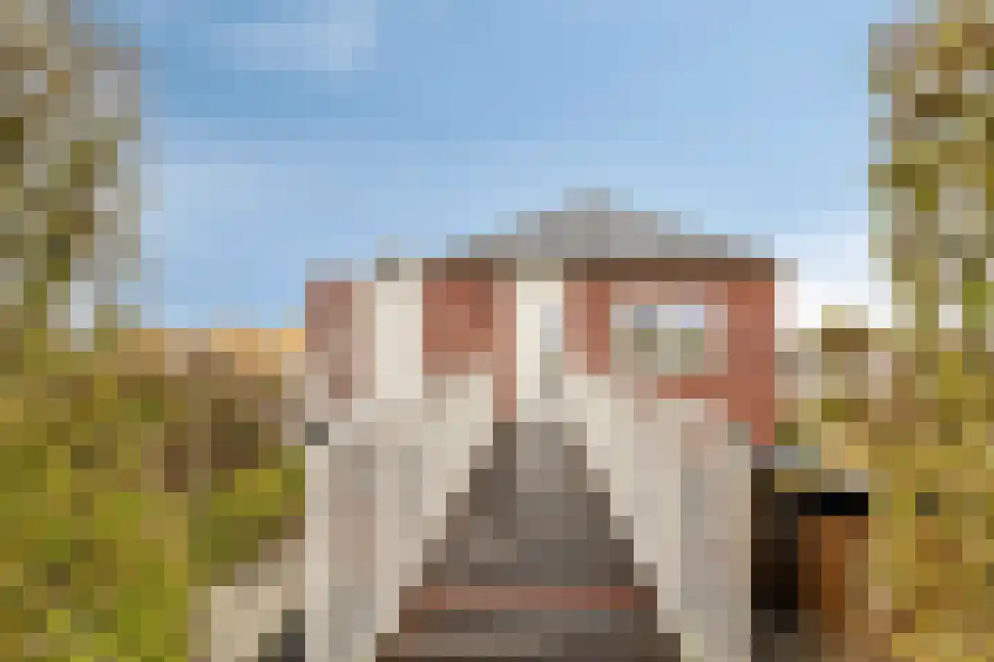Suisendijk 14 20 Oude-Tonge thumbnail 6