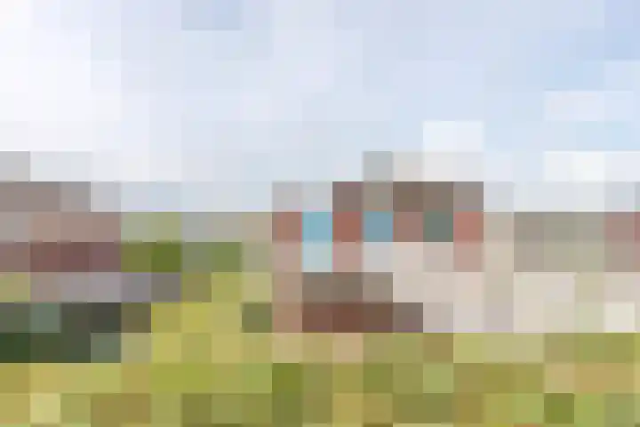 Suisendijk 14 22 Oude-Tonge thumbnail 22