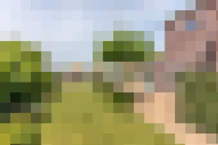 Suisendijk 14 22 Oude-Tonge thumbnail 4