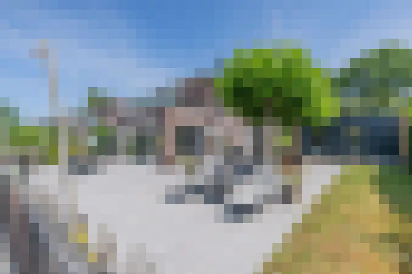 Suisendijk 14 26 Oude-Tonge thumbnail 15