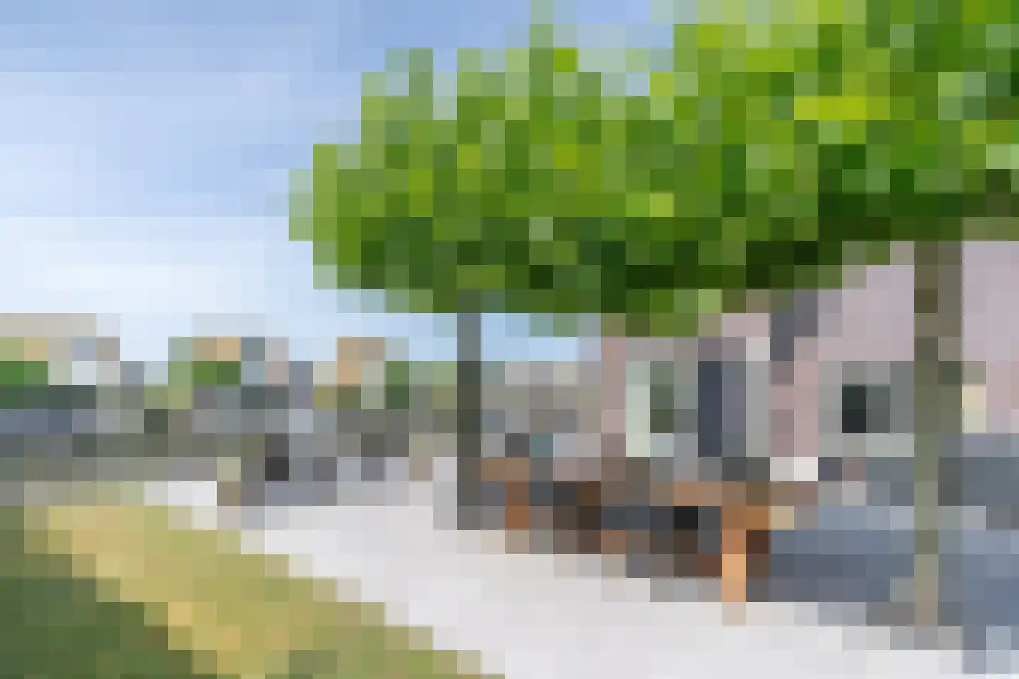 Suisendijk 14 26 Oude-Tonge thumbnail 18