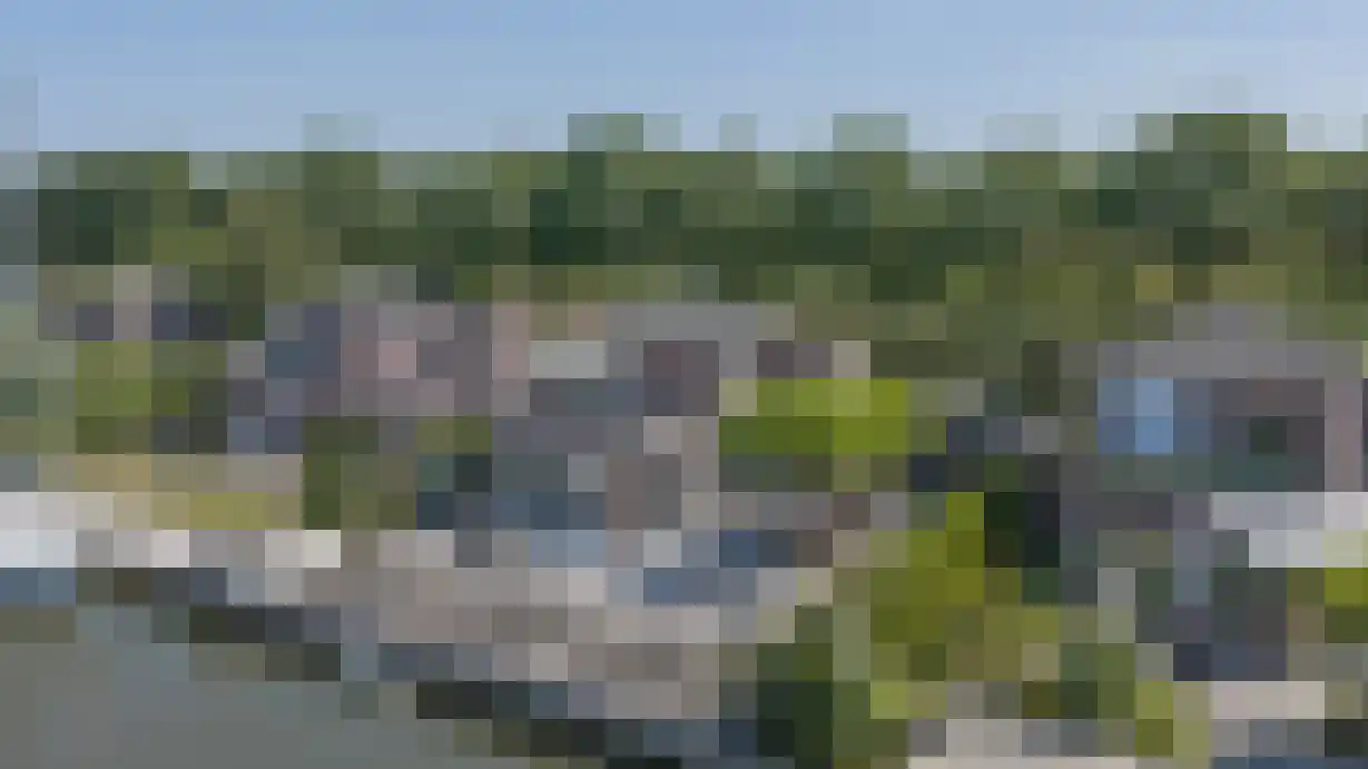 Suisendijk 14 26 Oude-Tonge thumbnail 27