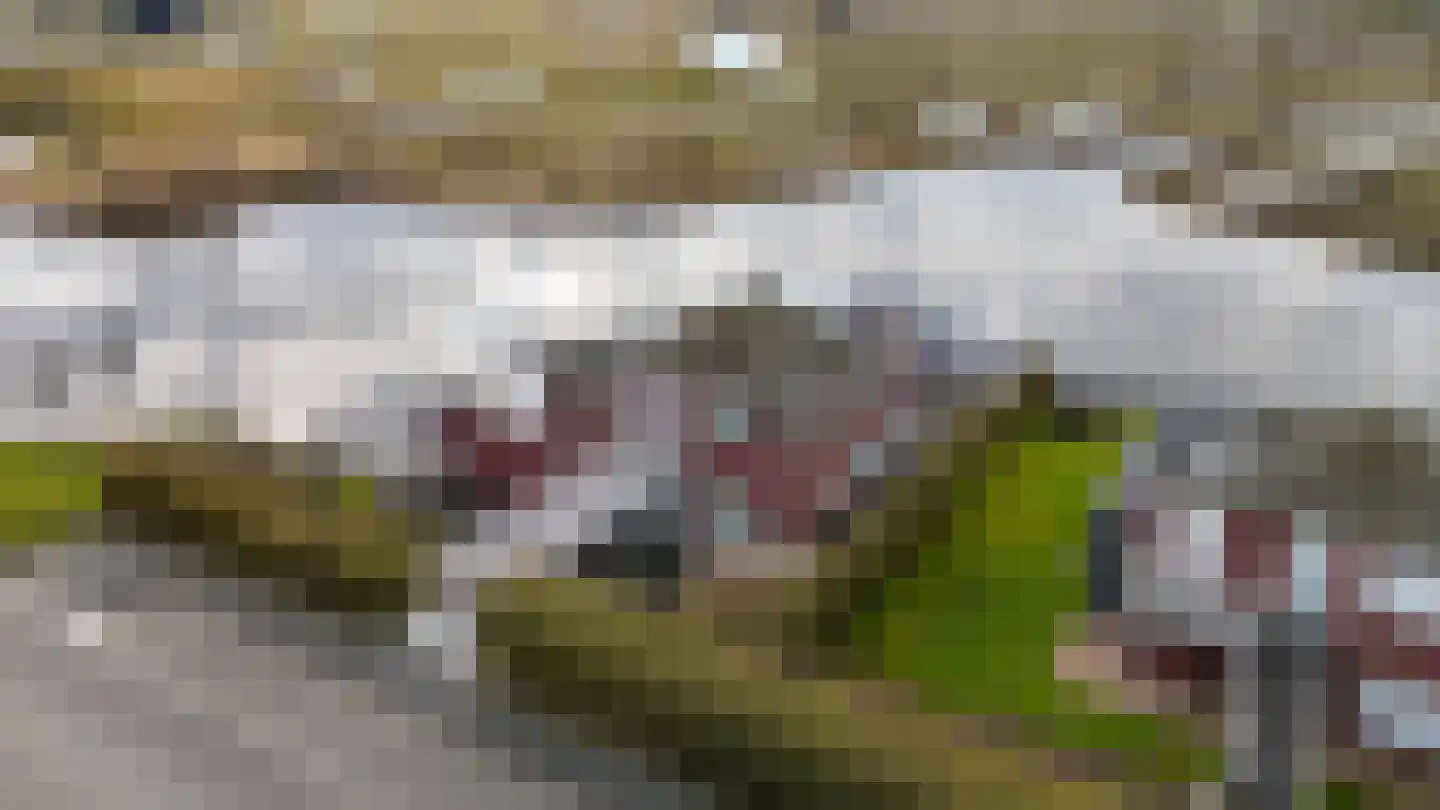 Suisendijk 14 33 Oude-Tonge thumbnail 14