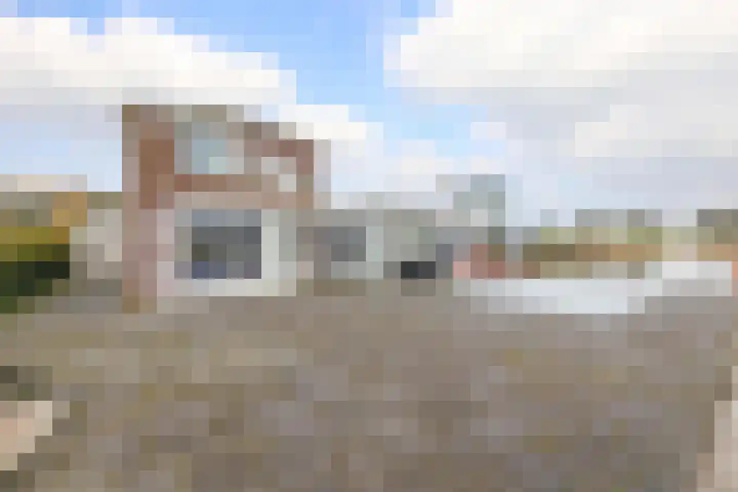 Suisendijk 14 33 Oude-Tonge thumbnail 32