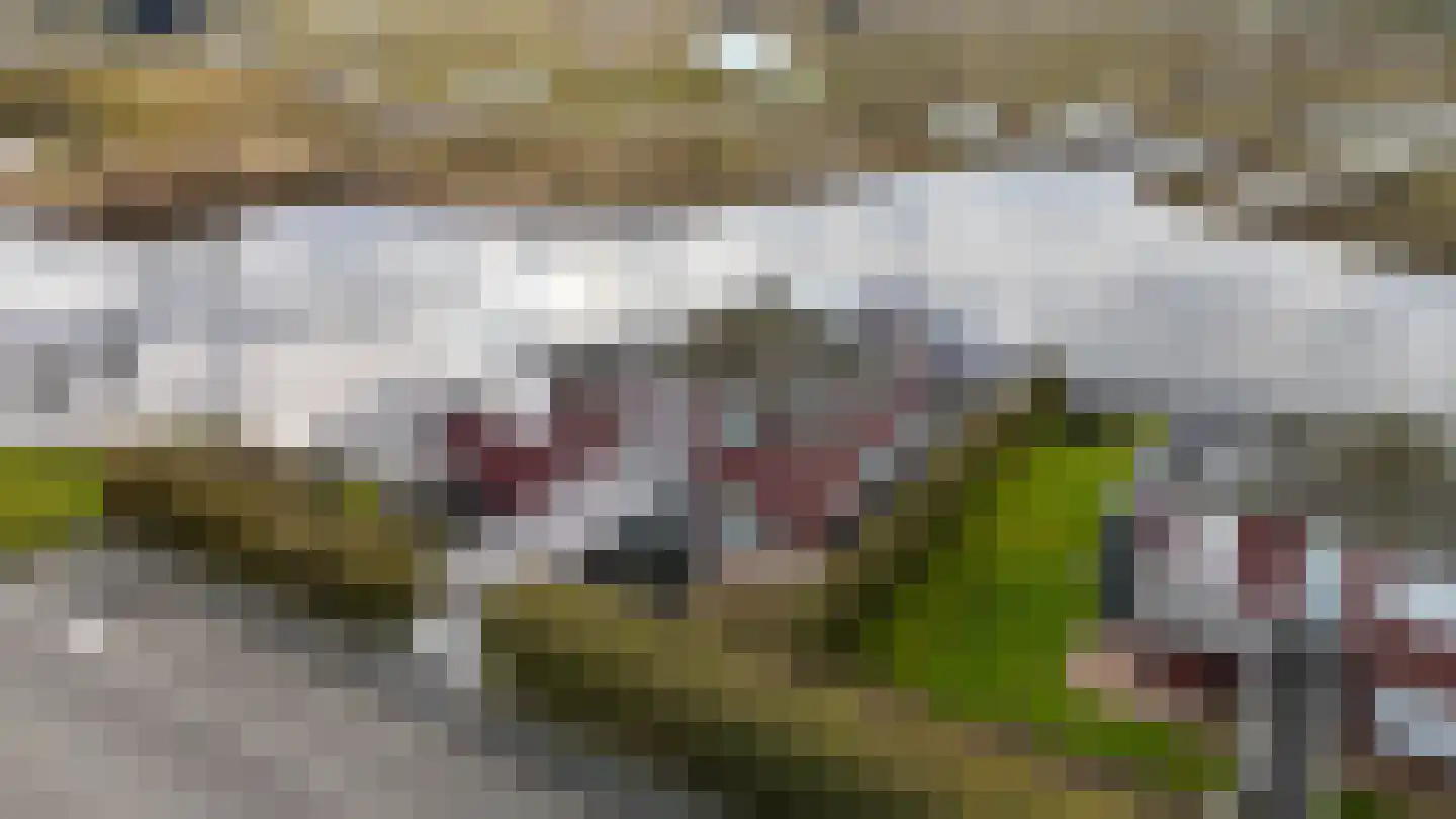 Suisendijk 14 33 Oude-Tonge thumbnail 36