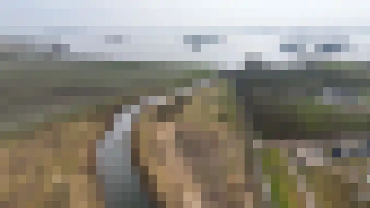 Suisendijk 14 33 Oude-Tonge thumbnail 41