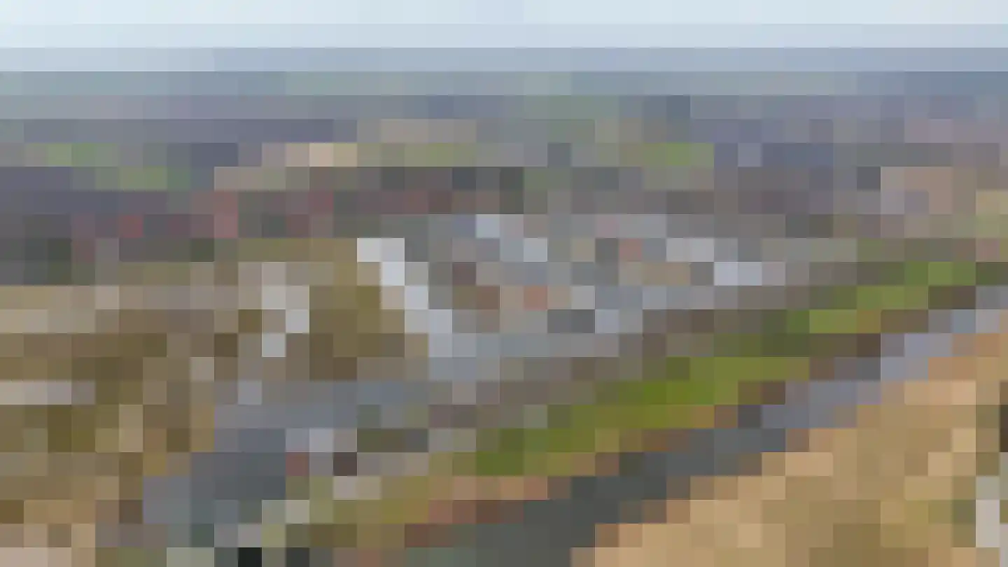 Suisendijk 14 33 Oude-Tonge thumbnail 42