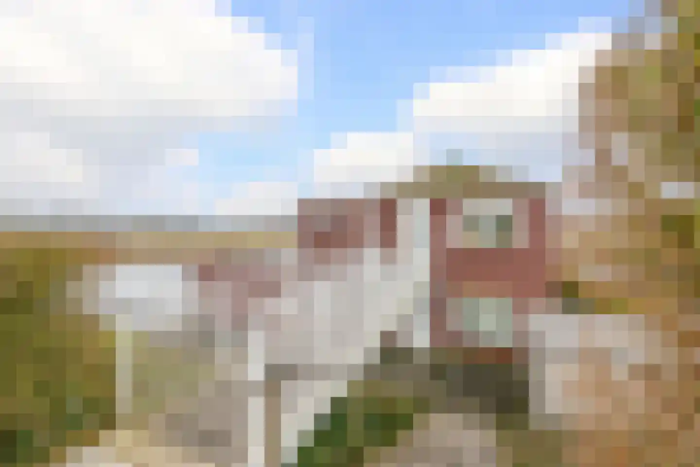 Suisendijk 14 33 Oude-Tonge thumbnail 5